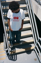 Load image into Gallery viewer, Hate-kill-destroy Ringer t-shirt