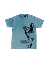 Load image into Gallery viewer, Sunny Day Real Amber T-shirt